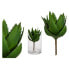 Фото #1 товара Искусственное растение Ibergarden Алоэ Вера (14 x 23 x 14 см) Зеленое из пластика