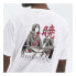 ფოტო #7 პროდუქტის HYDROPONIC Na Itachi short sleeve T-shirt