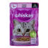 WHISKAS Adult Salmon I Sauce 85g Wet Cat Food