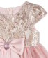 Baby Girls Brocade & Mesh Social Dress