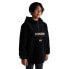 Фото #1 товара NAPAPIJRI T-Burgee hoodie