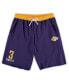 Men's Anthony Davis Purple Los Angeles Lakers Big and Tall French Terry Name and Number Shorts