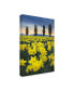 Фото #2 товара Alan Majchrowicz Skagit Valley Daffodils I Canvas Art - 37" x 49"