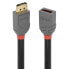 Фото #2 товара LINDY 901751419 3 m DisplayPort Cable