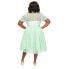 ფოტო #2 პროდუქტის Plus Size 1950s Short Sleeve Collared Hollie Swing Dress