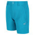 REGATTA Highton Shorts