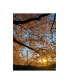 Фото #1 товара Mitch Catanzaro Cherry Blossom Sunrise Canvas Art - 27" x 33.5"