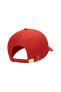 Фото #4 товара Sportswear Dri Fit Metal Swoosh Cap Unisex Şapka 943092-623