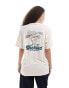 Фото #2 товара Dickies superior back print t-shirt in off white