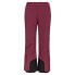 Фото #3 товара ODLO Ski Bluebird S-Thermic Pants