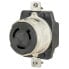 Фото #2 товара HUBBELL Single Receptacle 50A 125V