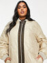 Фото #3 товара ASOS DESIGN Curve onion quilt bomber jacket in camel