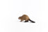 Фото #3 товара Игровая фигурка Schleich Beaver 14855 Wild Life (Дикая природа)