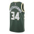 Nike Antetokounmpo Swingman Jersey