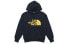 Фото #1 товара Толстовка THE NORTH FACE THROWBACK EMBROIDERED PULLOVER HOD NF0A4NEQ-RG1