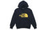 The North Face Throwback Embroidered Pullover Hoodie NF0A4NEQ-RG1