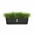 Ящик для цветов Elho Planter Black Plastic - 70 см