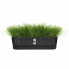 Фото #5 товара Ящик для цветов Elho Planter Black Plastic - 70 см