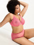 Ivory Rose Curve high apex sheer heart mesh bra in pink