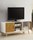 Фото #6 товара 47.25" Oslo TV Stand with Storage Cabinets and Shelves