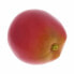 Nino Nino 596 Botany Shaker Apple