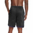 Champion Trendy Clothing Casual Shorts