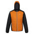 Фото #3 товара REGATTA Trutton II jacket