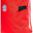 Фото #6 товара ADIDAS Bayern Munich 22/23 Backpack