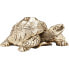 Фото #1 товара Deko Figur Turtle