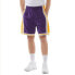 Фото #4 товара Mitchell&ness NBA经典徽标logo印花网眼透气复古球裤 SW球迷版 84-85赛季 洛杉矶湖人队 男女同款 紫色 / Брюки баскетбольные Mitchellness NBAlogo SW 84-85 / workout -