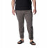 Фото #1 товара COLUMBIA M Trek™ Pants