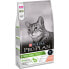 Cat food Purina 7613036517164 Adult Salmon 10 kg