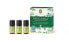 Aroma first aid kit Forest Energy 3 x 5 ml