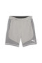 Фото #2 товара Evostripe Shorts 8 Erkek Şort