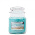 Фото #1 товара Beachside scented candle in glass 396 g