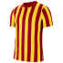 Фото #1 товара NIKE Striped short sleeve T-shirt