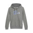 Фото #1 товара Puma Iridescent Pullover Hoodie Womens Grey Casual Outerwear 67916603