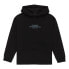 Фото #1 товара ELEMENT Skateboard Co hoodie