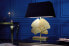 Фото #3 товара Настольная офисная лампа Riess-Ambiente GINKGO