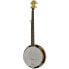 Фото #1 товара Gold Tone CC-100R 5 String Banjo