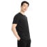 ფოტო #1 პროდუქტის ICEBREAKER Central Classic short sleeve T-shirt