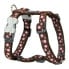 ფოტო #2 პროდუქტის RED DINGO Style Moles Harness