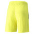 Фото #3 товара PUMA TeamLiga Shorts