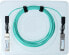 Фото #6 товара BlueOptics SFP28-AOC-1M-F5-BO - 1 m - SFP28 - SFP28 - Male/Male - Aqua colour - 25 Gbit/s