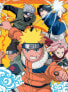 Фото #1 товара Puzzle 250 Naruto die Ninja-Akademie