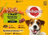 Фото #1 товара Nassfutter Hund gemischte Selektion in Sauce, Adult, Multipack (12x100 g), 1,2 kg