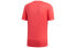 Adidas LogoT DQ1852 T-shirt