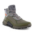 Ecco Biom 2.1 Mountain Mid Gtx