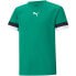 Фото #1 товара T-shirt Puma teamRise Jersey Jr. 704938 05