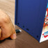 Фото #4 товара Портативная видеоконсоль My Arcade Micro Player PRO - Megaman Retro Games Синий